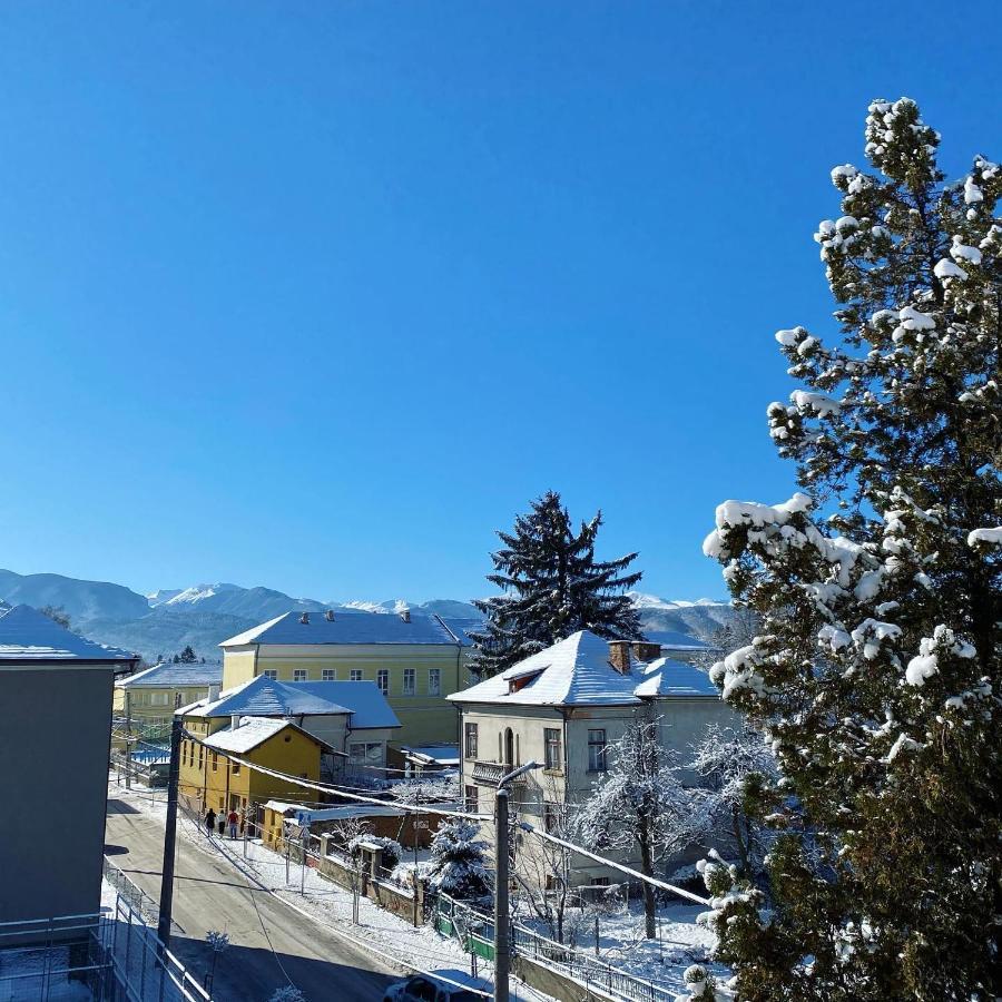Tanin House - Three-Bedroom Apartment, Sauna And Gym 10' Away From Borovets Σάμοκοβ Εξωτερικό φωτογραφία